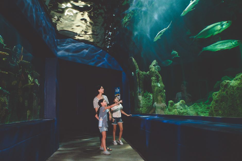 A parent and child looking up at a large museum exhibit together, the child pointing in wonder.